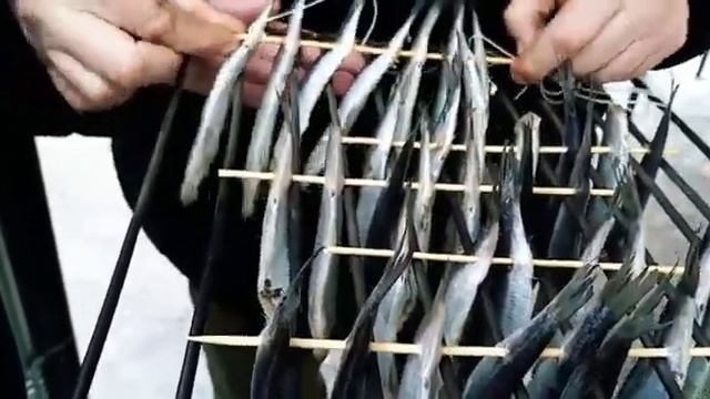 Копчение салаки. Очень быстро и вкусно! Стоит попробовать.