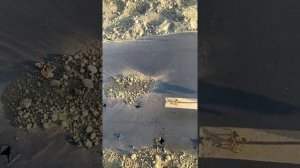 Как быстро и не тяжело сделать дырки в мульче