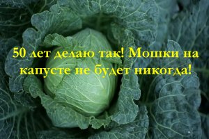 50 лет делаю так!