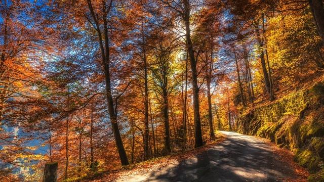 John Denver. Bread and Roses