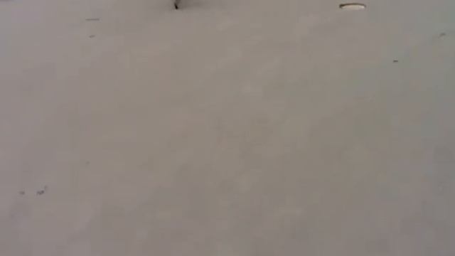 videolet.hut.ru. Видеолёт 6 Мытищи Велосипедисты смотреть онлайн