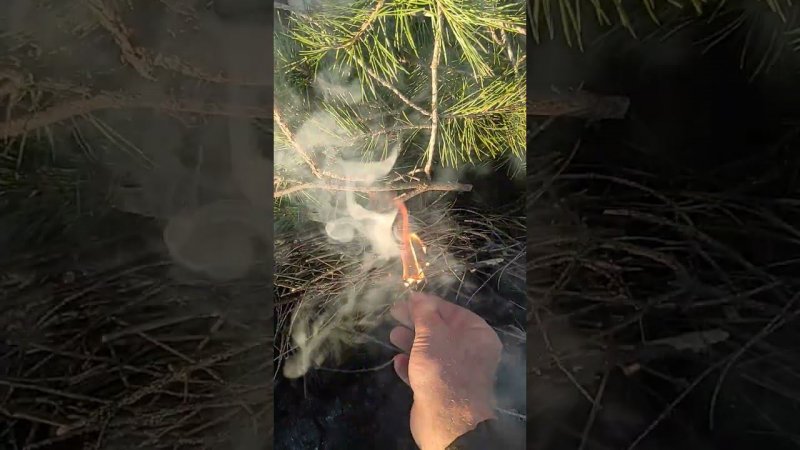 Как развести костёр в лесу