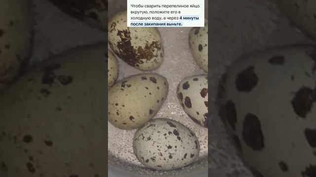 Сколько варить перепелиные яйца смотреть онлайн