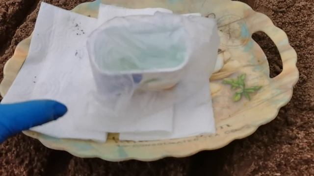 Как посеять МОРКОВЬ, чтобы быстро и дружно взошла