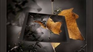 Скоро Осень