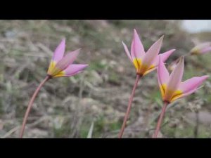 Велопоездка с ночёвкой, костром, купанием в горной речке и рыбалкой.