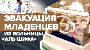 Шанс на жизнь: эвакуированных из Газы младенцев перевезли в Египет