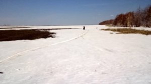 Мотобуксировщик