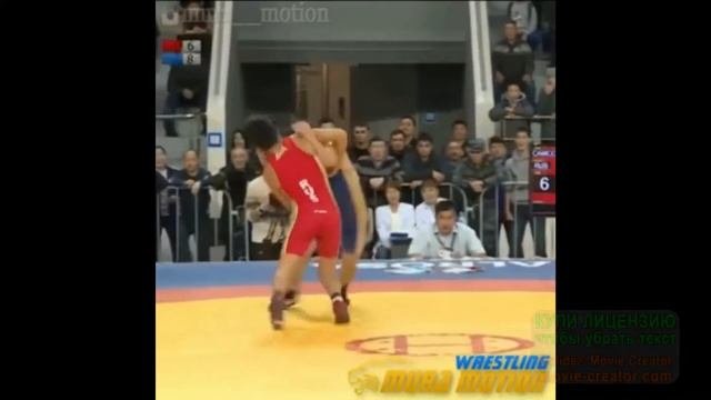 Броски Дзюдо,Самбо,Вольная борьба