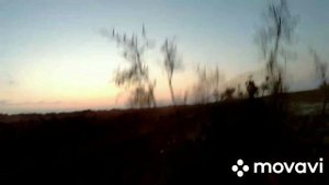 с подхода на утку 05