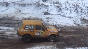 Бешеный лось 2014 Жёлтая нива