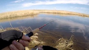 Открыл сезон 2021. Щука просыпается