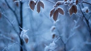 Dan Phillipson. Imagine Anything