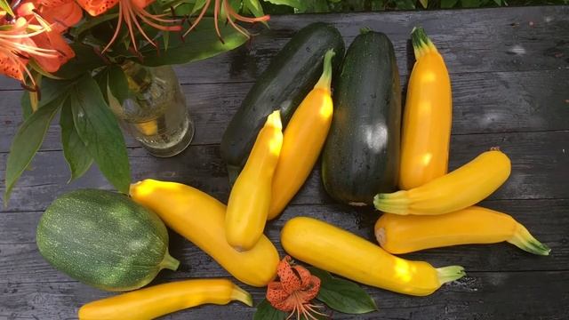 Жёлтые кабачки / сорт Банан / Урожай каждый день! Лучший сорт кабачков смотреть онлайн