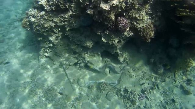 Иордания красное море