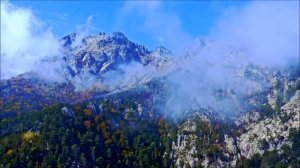 Когда,мой друг, ты ближнего так больно огорчил