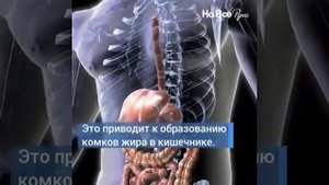 Полезные свойства горячей воды