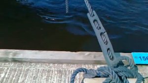 Грамотная швартовка через эластичный амортизатор из морской резины.