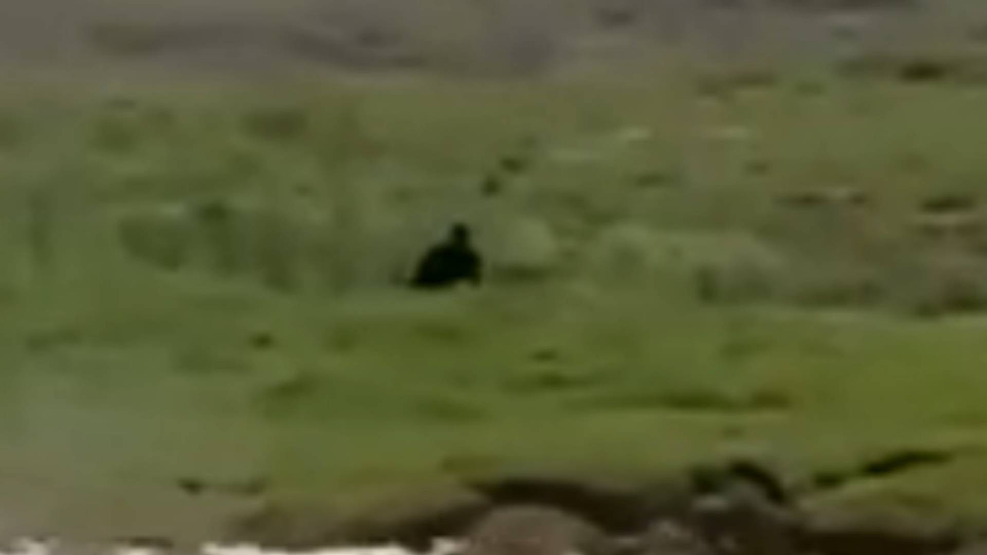 ЙЕТИ попал в КАДРЫ ДОКУМЕНТАЛЬНОГО фильма. РЕАЛЬНОЕ видео СНЕЖНОГО ЧЕЛОВЕКА. смотреть онлайн