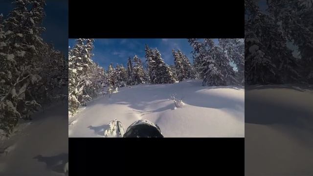 Lynx Boondocker DS 3900 850 смотреть онлайн