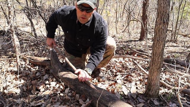Deadfall Hunt! How to Trap, Clean, and Cook a Mouse to Eat for Survival! смотреть онлайн
