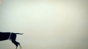 ПАющие ТрусЫ — Вася-Зина