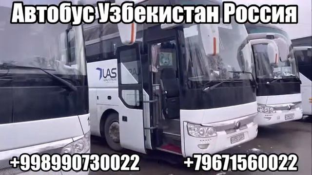 Рейсовый автобус Ташкент Москва прямой рейс 2024, Ташкент Краснодар автобус, Ташкент Ростов-на-Дону