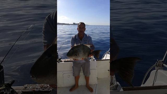 Fighting a 65lb Albacore Tuna on light Tackle