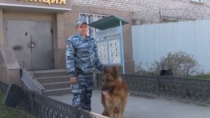 Профессия "Кинолог".