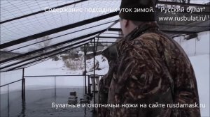 Содержание подсадных уток зимой. Нож "Боровик", клинок сталь 95Х18