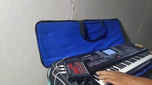 FATAMORGANA COVER KORG MICRO ARENGGER STYLE D BAND