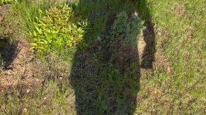 ТЕХНИЧЕСКОЕ  ПОМЕЩЕНИЕ ДЛЯ БАССЕЙНА