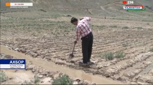 Мастчохи Кухи 2020