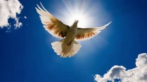 Притча о подлеце который совсем не слушал свою совесть.