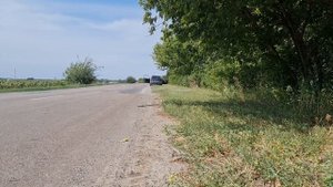 4 пары 20 сильвестров(apm81se)