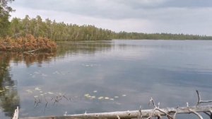 Рыбалка в Карелии, еда на костре. Ночь в лесу.