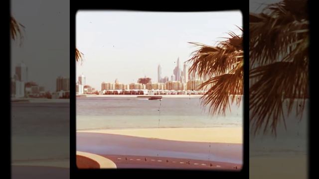 Atlantis hotel -palm Dubai 2019 vid15 смотреть онлайн