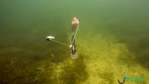 jProbe FE видеокамера для рыбалки