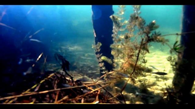 ПВД , поход , Проня, 2015 смотреть онлайн