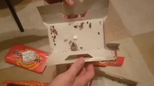 Ловушка Форсайт средство для уничтожения тараканов в Хабаровске! Купить можно по ссылке описаний.
