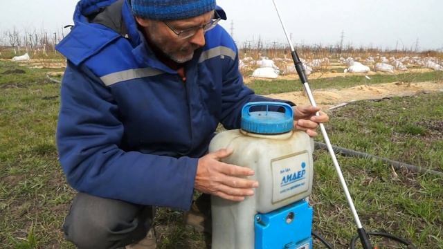 Опрыскивание растений. Чем? Как? Когда?