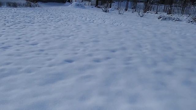 Почему мне больше нравится жить в деревне. смотреть онлайн