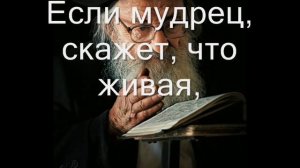 Притча "Мудрец и бабочка"