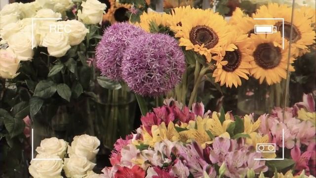 VLOG: Кусочек лета в холодильнике // 07 июня 2019 ?? ? смотреть онлайн