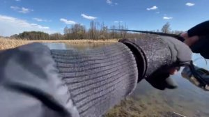 Crazy Fish Arion 832 vs. Щука. Очень звонкий. Сезон 2020