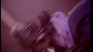 Joan Jett And The Blackhearts - I Hate Myself For Loving You