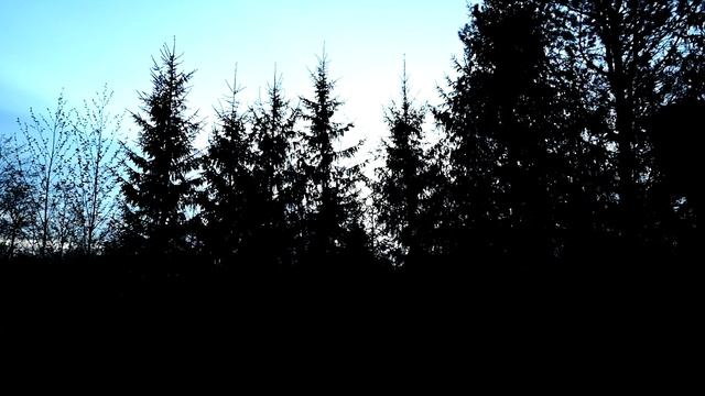 Пения соловья вечером, 1 час в деревне перед сном смотреть онлайн