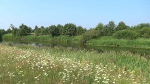 Рыбалка на реке "Шерна".Филиповское,Владимирская область.