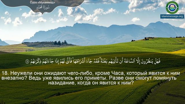 Коран Сура 47 Мухаммад (Мухаммед) русский | Мишари Рашид Аль-Афаси