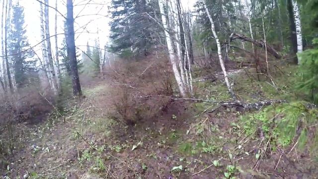 Одиночный поход.Заброшеный поселок. Туристический топорик СССР. смотреть онлайн